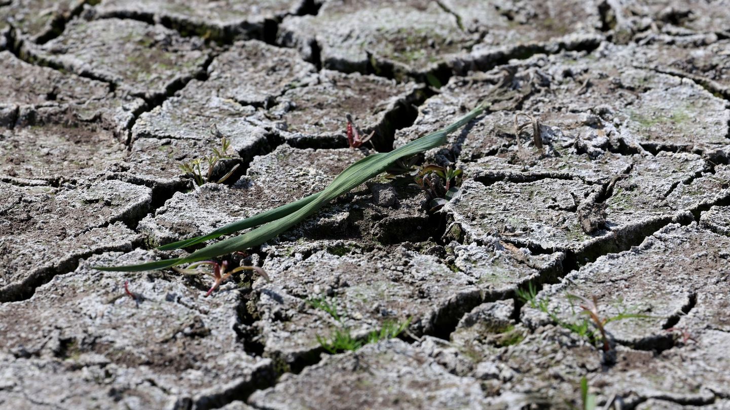 Wasserversorgung: Grundwasserstände in Sachsen gesunken – Managementkonzept