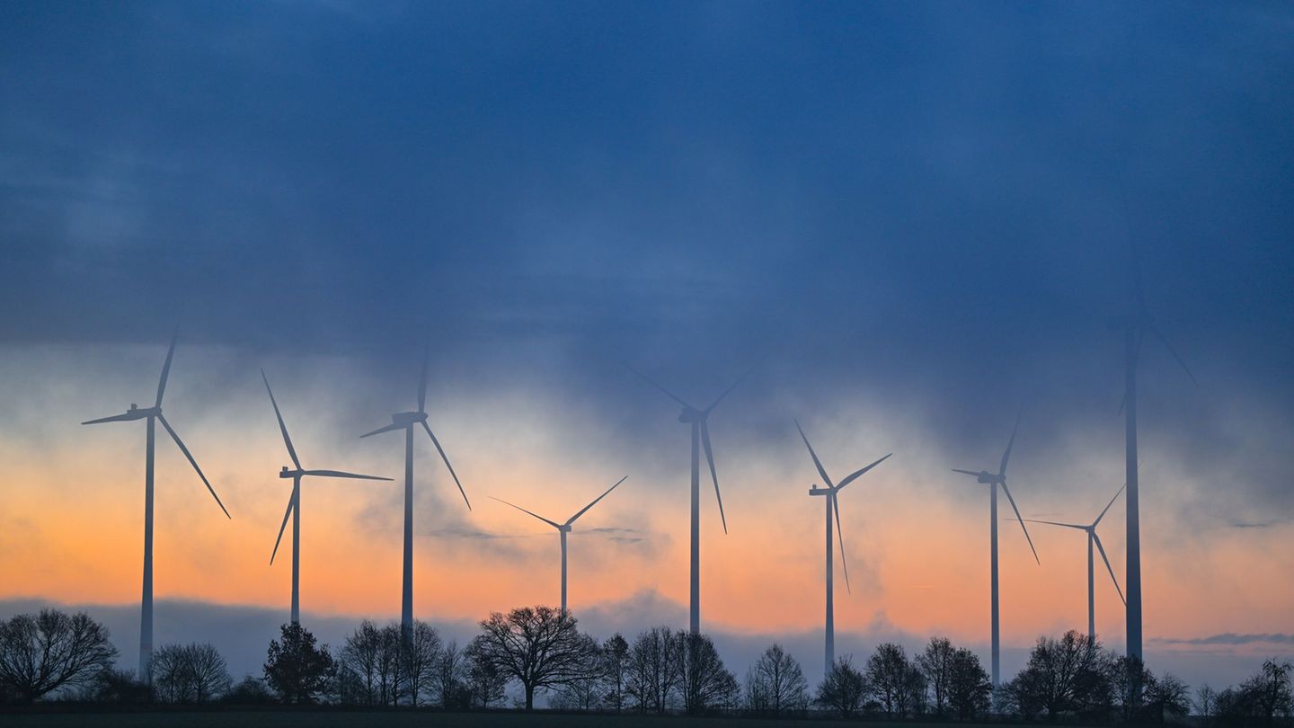 Windenergie in Berlin: Nabu fordert mehr Windkraft-Standorte außerhalb von Wäldern