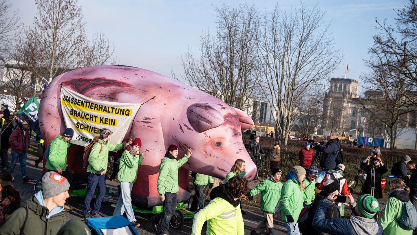 Aktion von „Wir haben es satt“: Landwirte öffnen Höfe für Klimaschützer