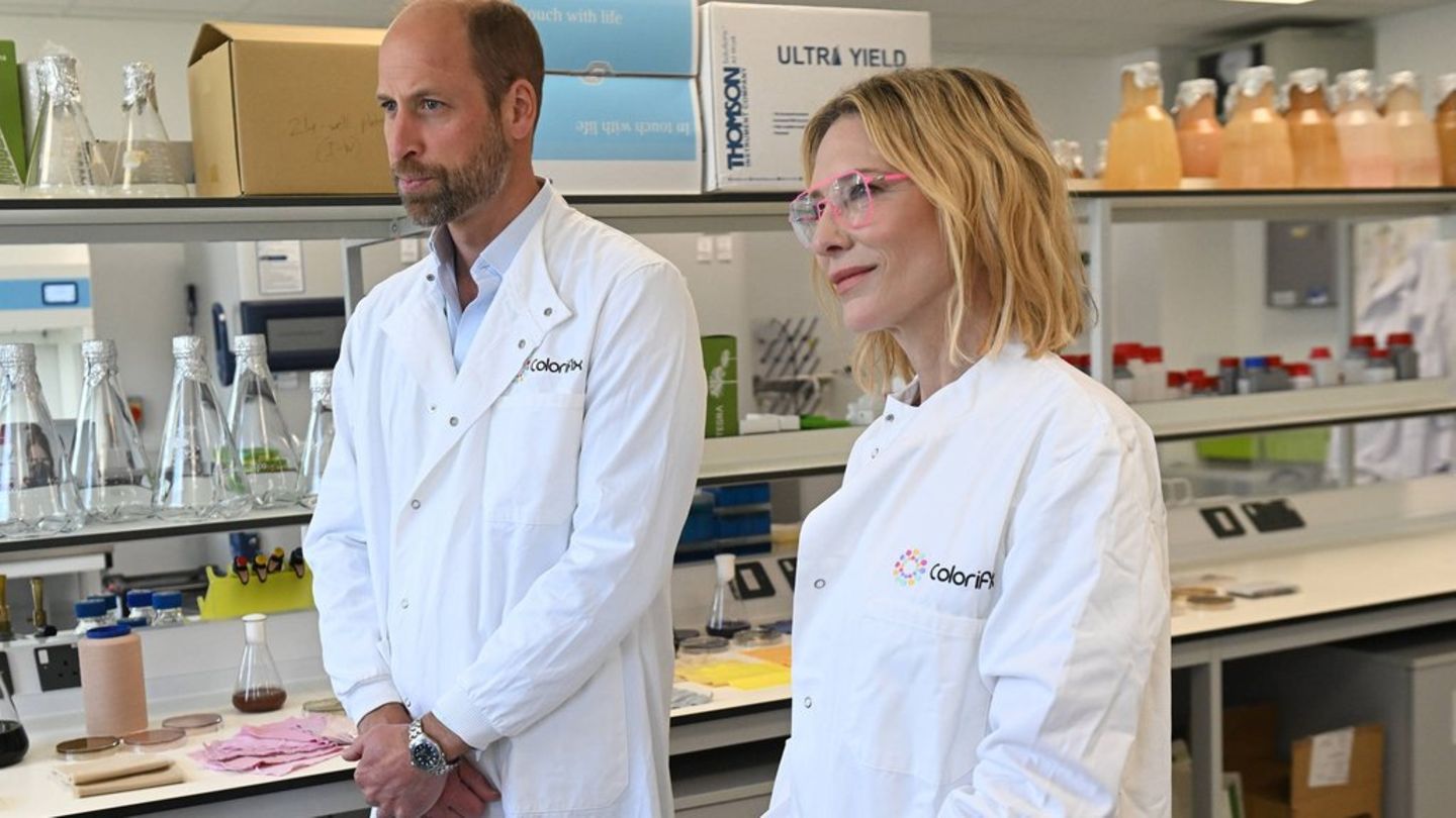 Prinz William: Auftritt mit Hollywoodstar Cate Blanchett