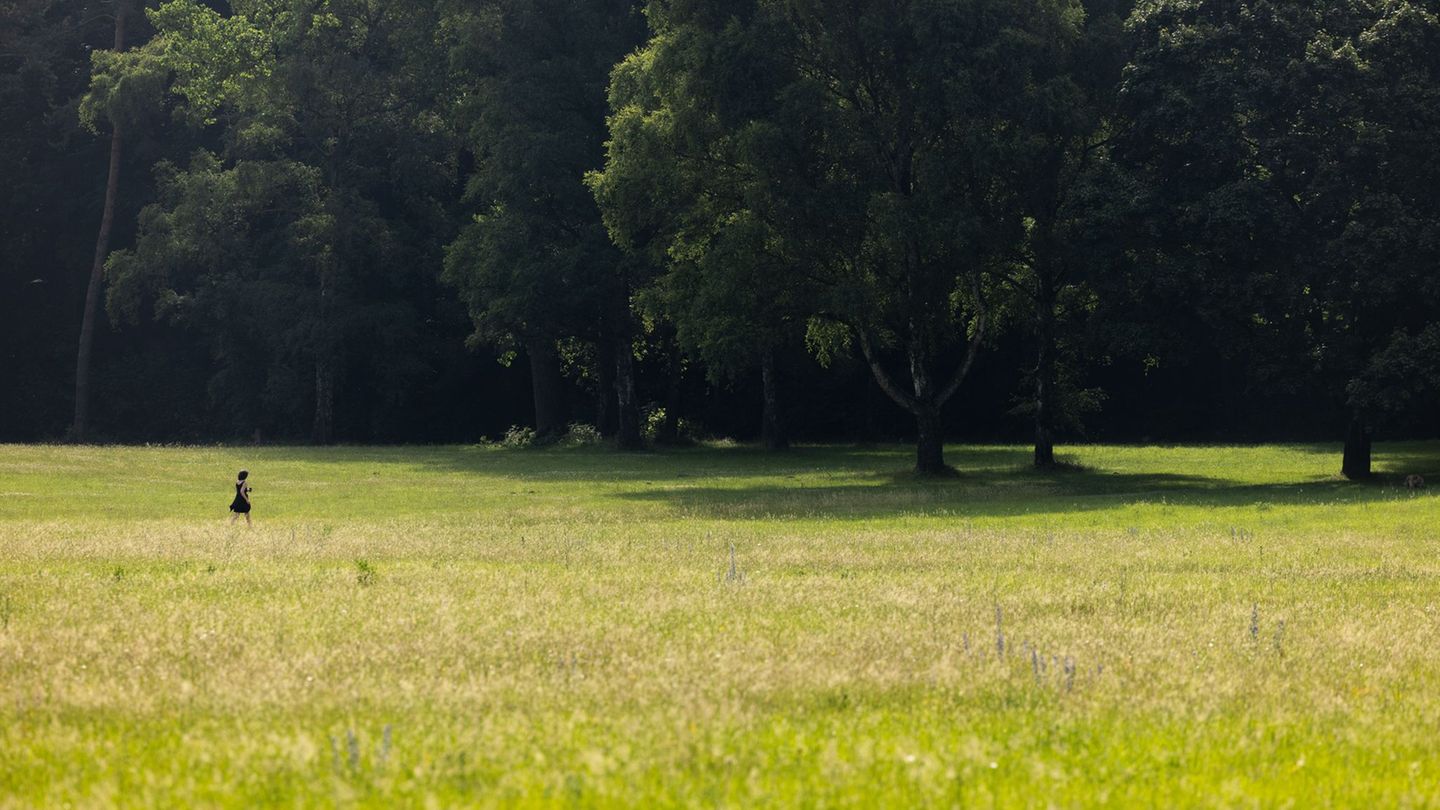 Wetter in Nordrhein-Westfalen: Sonnenschein und mehr als 30 Grad – ab Sonntag dann Regen