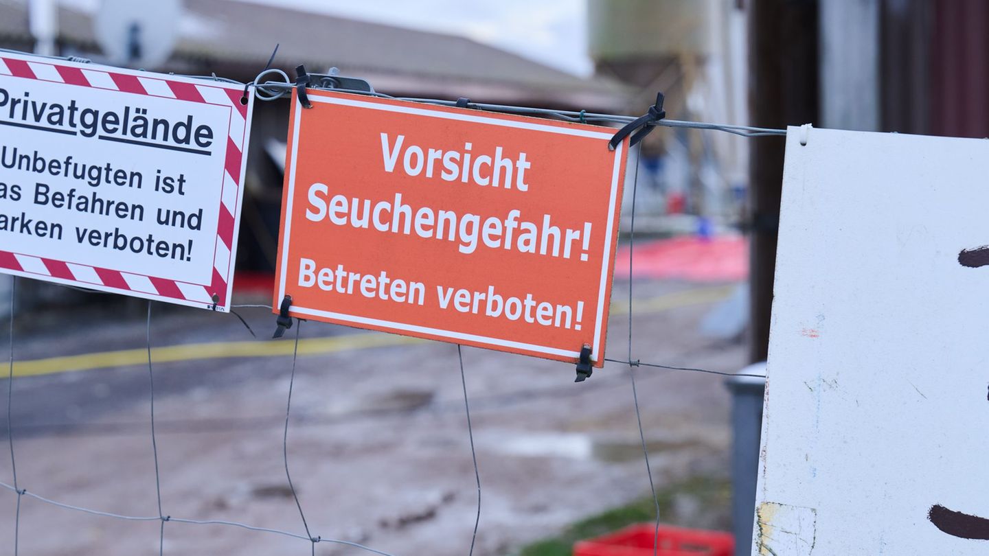 Tierseuchen: Sachsen verlangt bundesweite Solidarität bei Tierseuchen