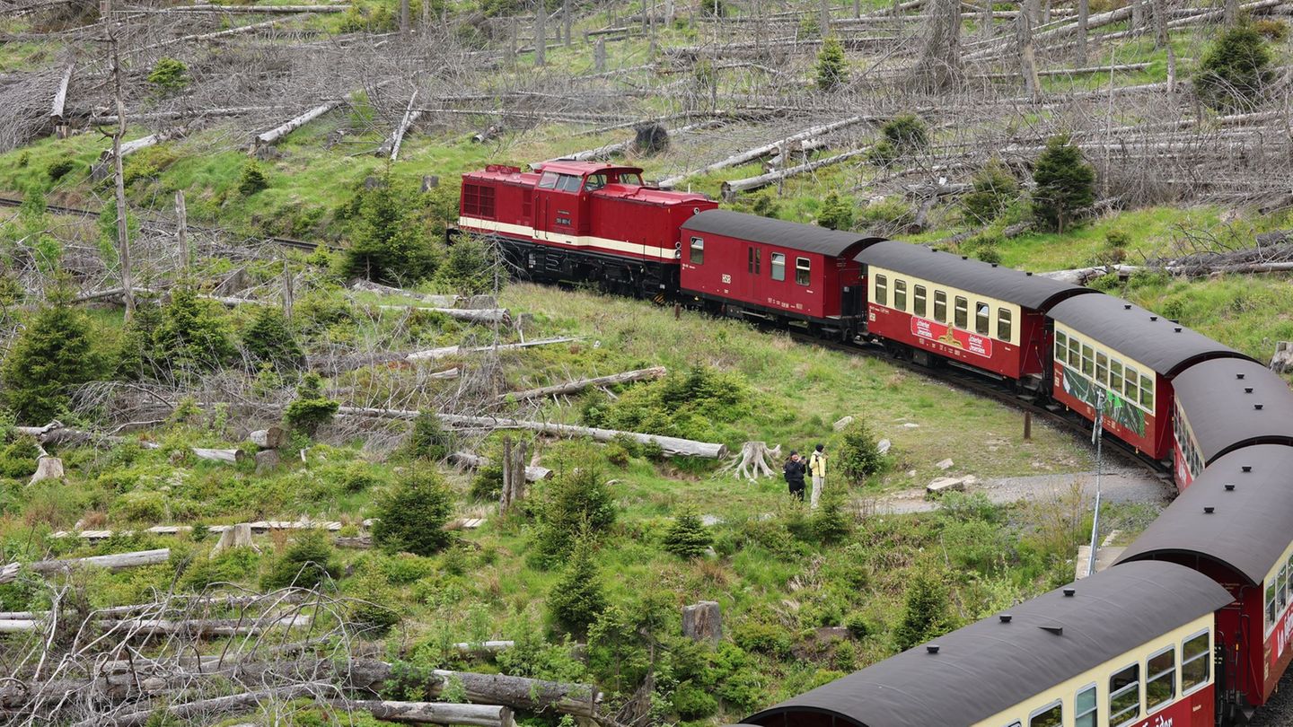 Verkehr: Brockenbahn stellt wegen Waldbrandgefahr auf Diesel um