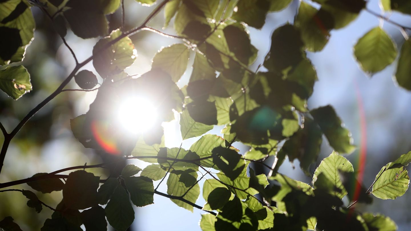 Wetter: Sommerliches Wochenende in Sachsen-Anhalt erwartet