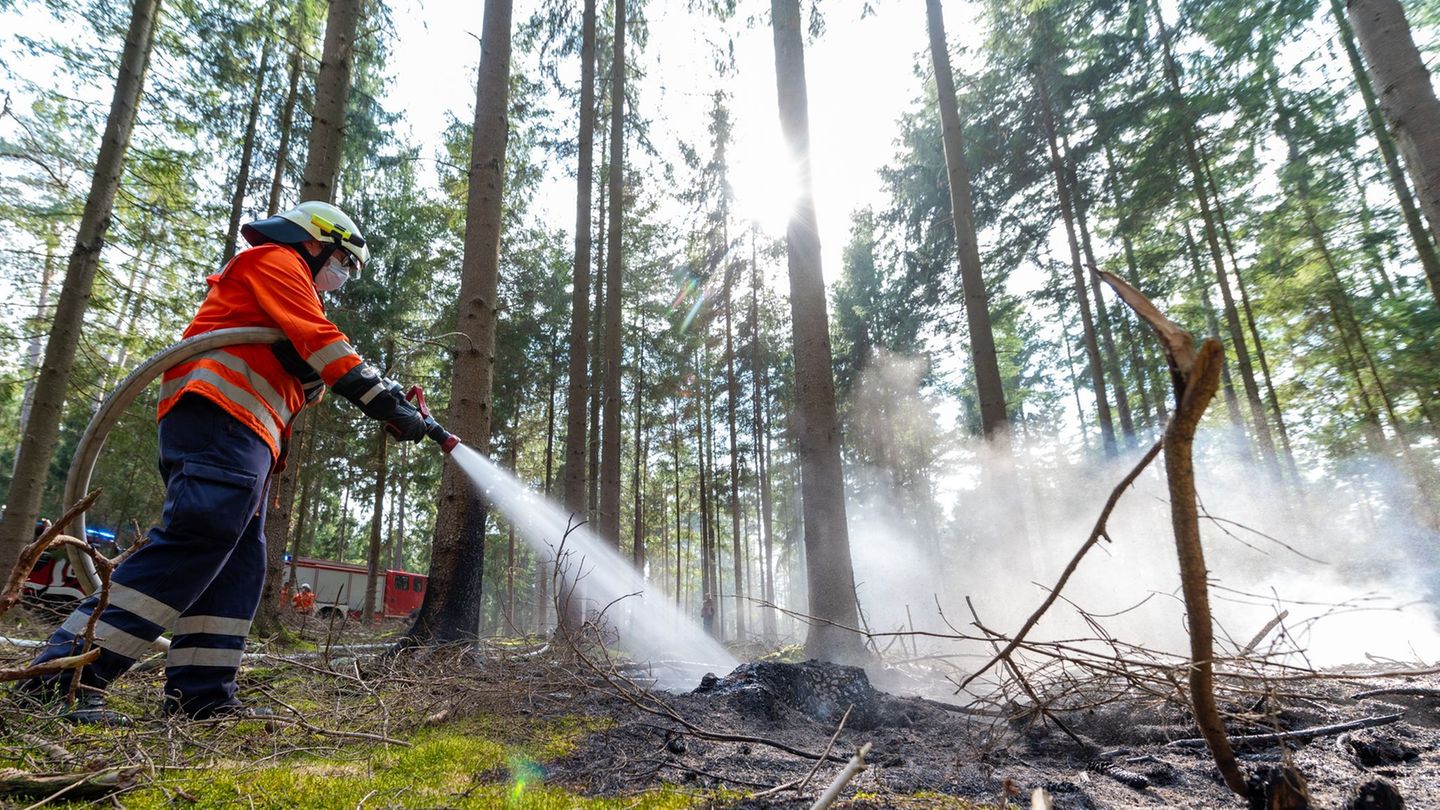 Waldbrandgefahr: Waldbrandgefahr steigt zum Wochenende