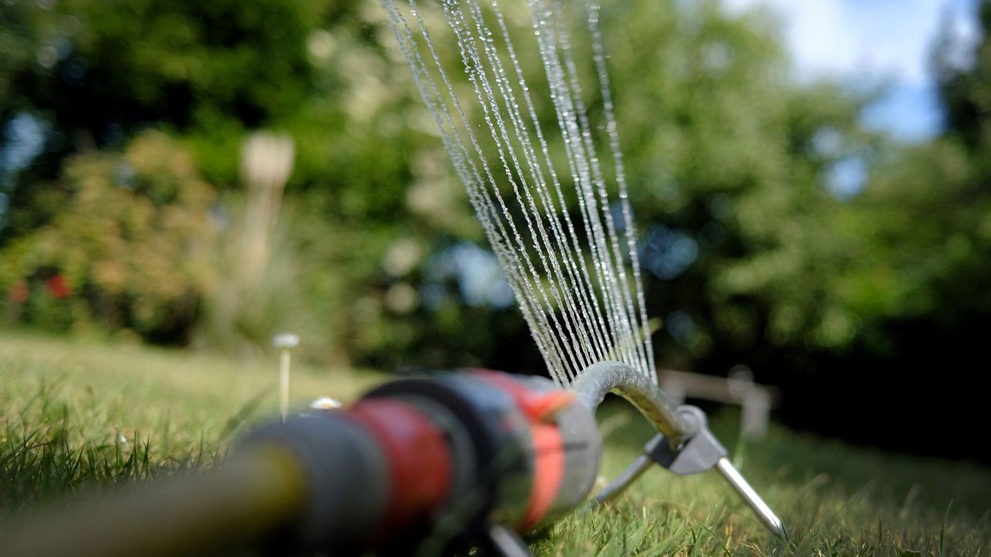 Sommer: Landkreis Harz: Sparsam mit Wasser umgehen
