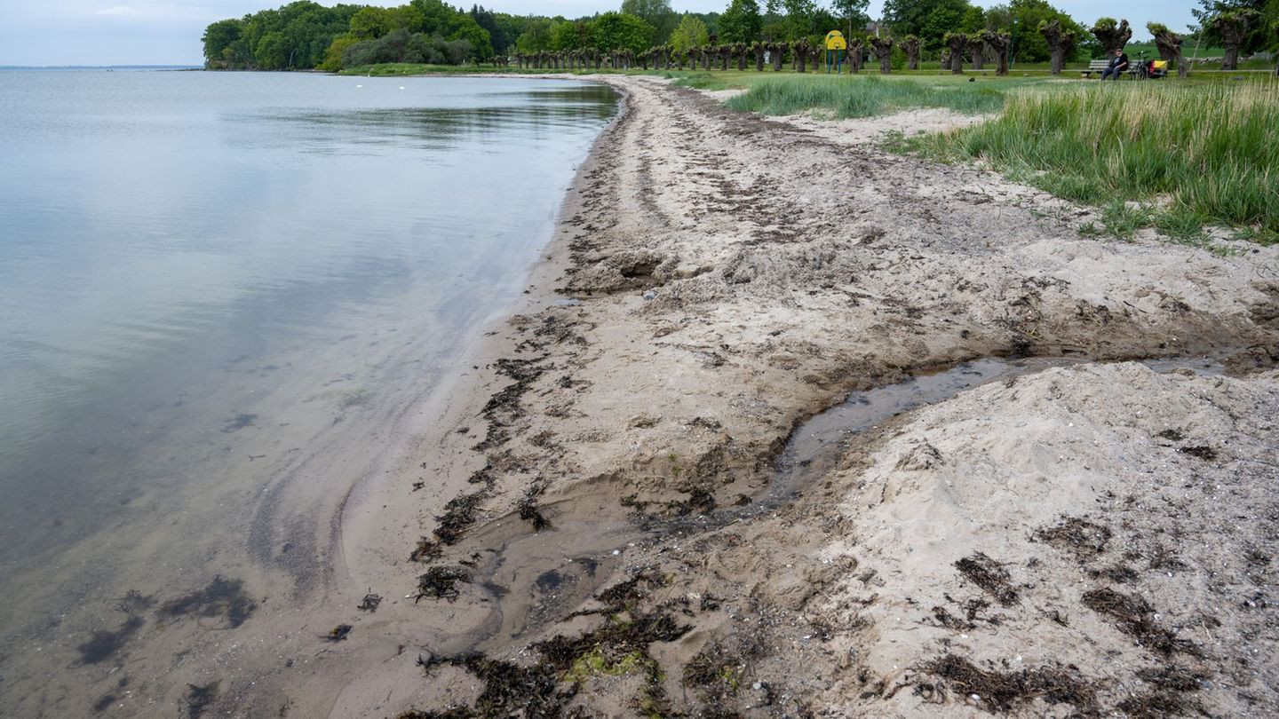 Daten ausgewertet: EU-Bewertung: Badegewässer in MV überwiegend ausgezeichnet