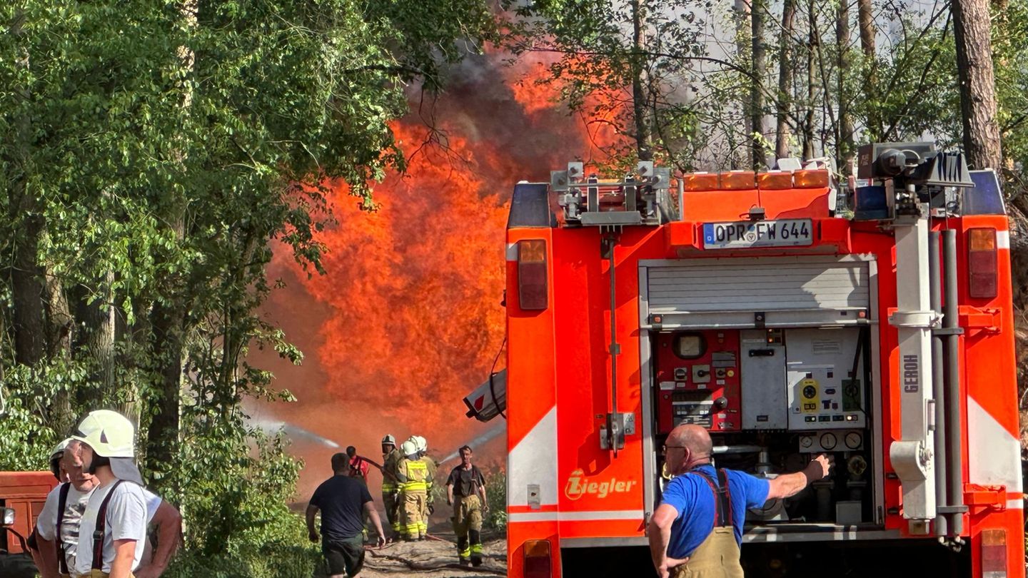 Sonntag höchste Stufe erwartet: Waldbrand bei Schönberg gelöscht – Gefahr landesweit hoch