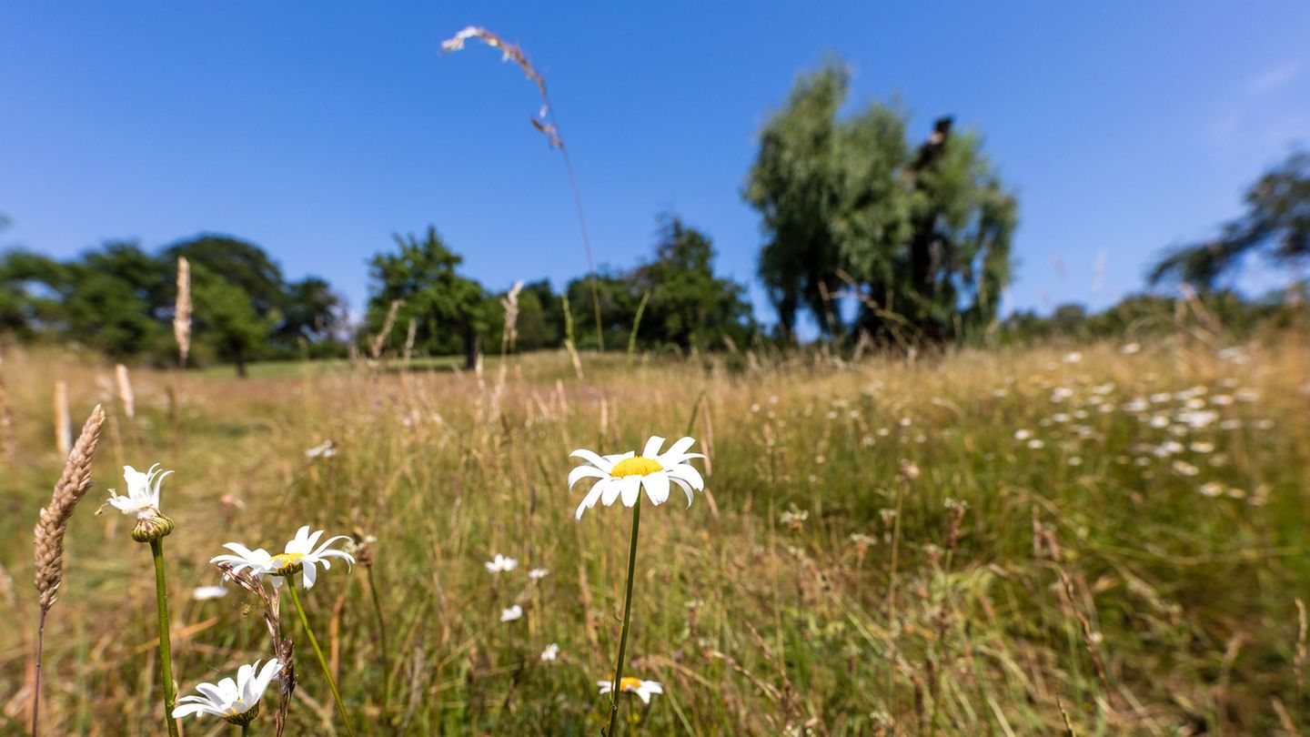Wetter: Heißer Sommerstart in Berlin und Brandenburg