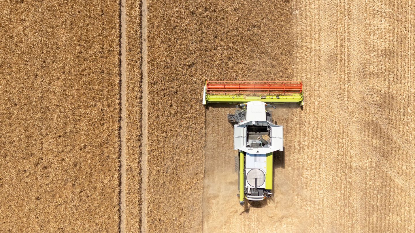 Agrar: Landwirte hoffen auf durchschnittliche Ernte