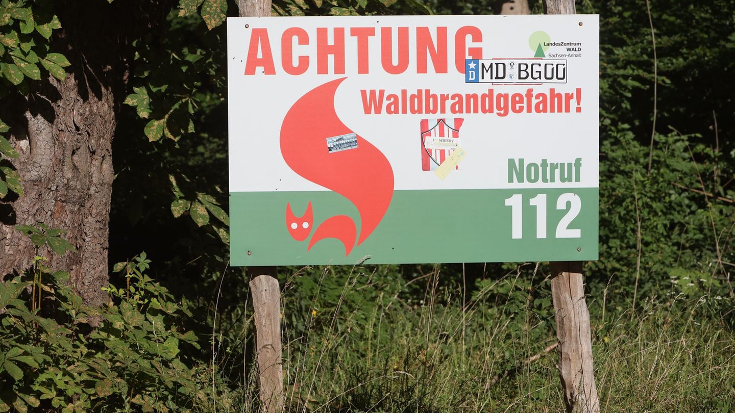 Natur: Hohe Waldbrandgefahr in Sachsen-Anhalt