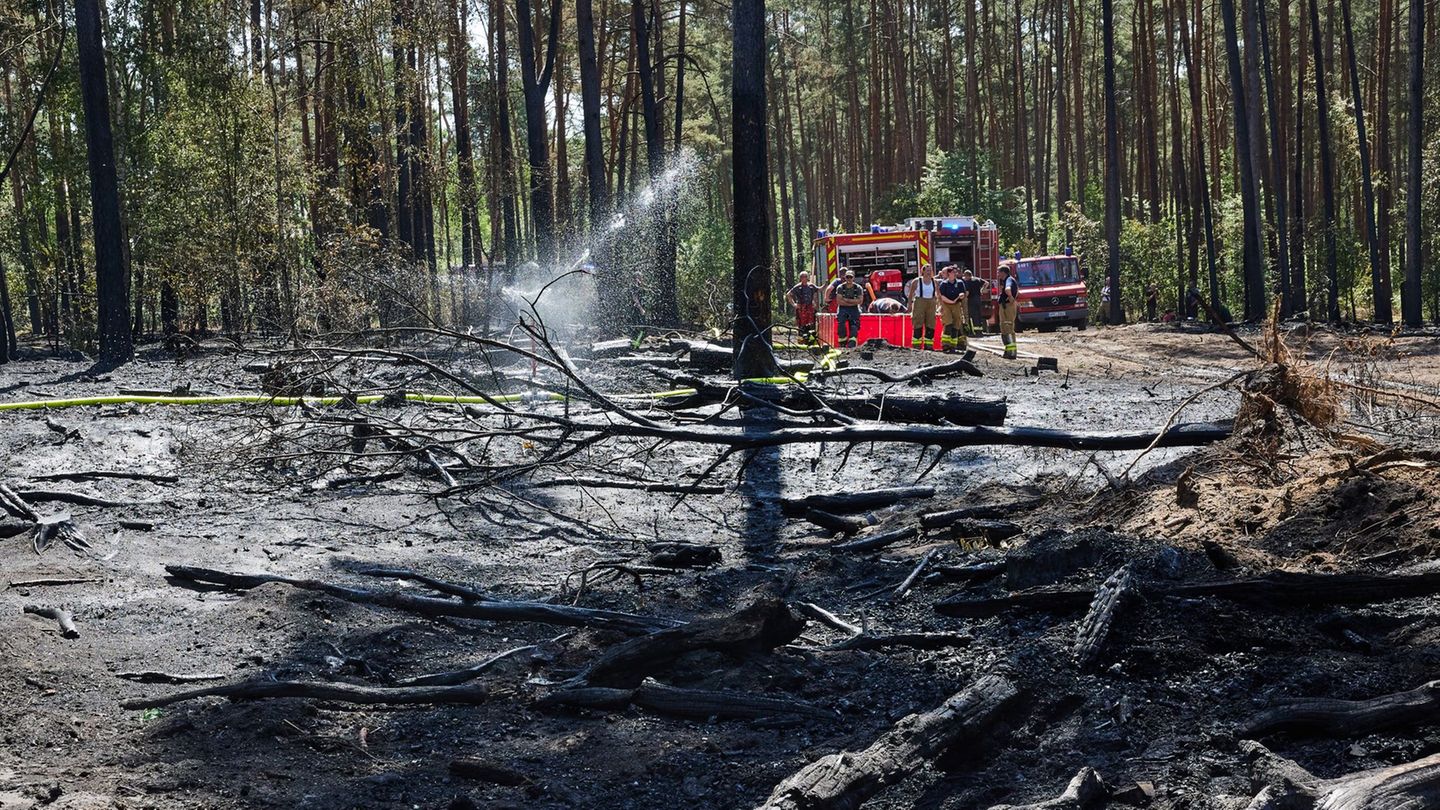 Feuerwehr: Zahlreiche Brände in Brandenburg – Feuer nahe dem Flughafen