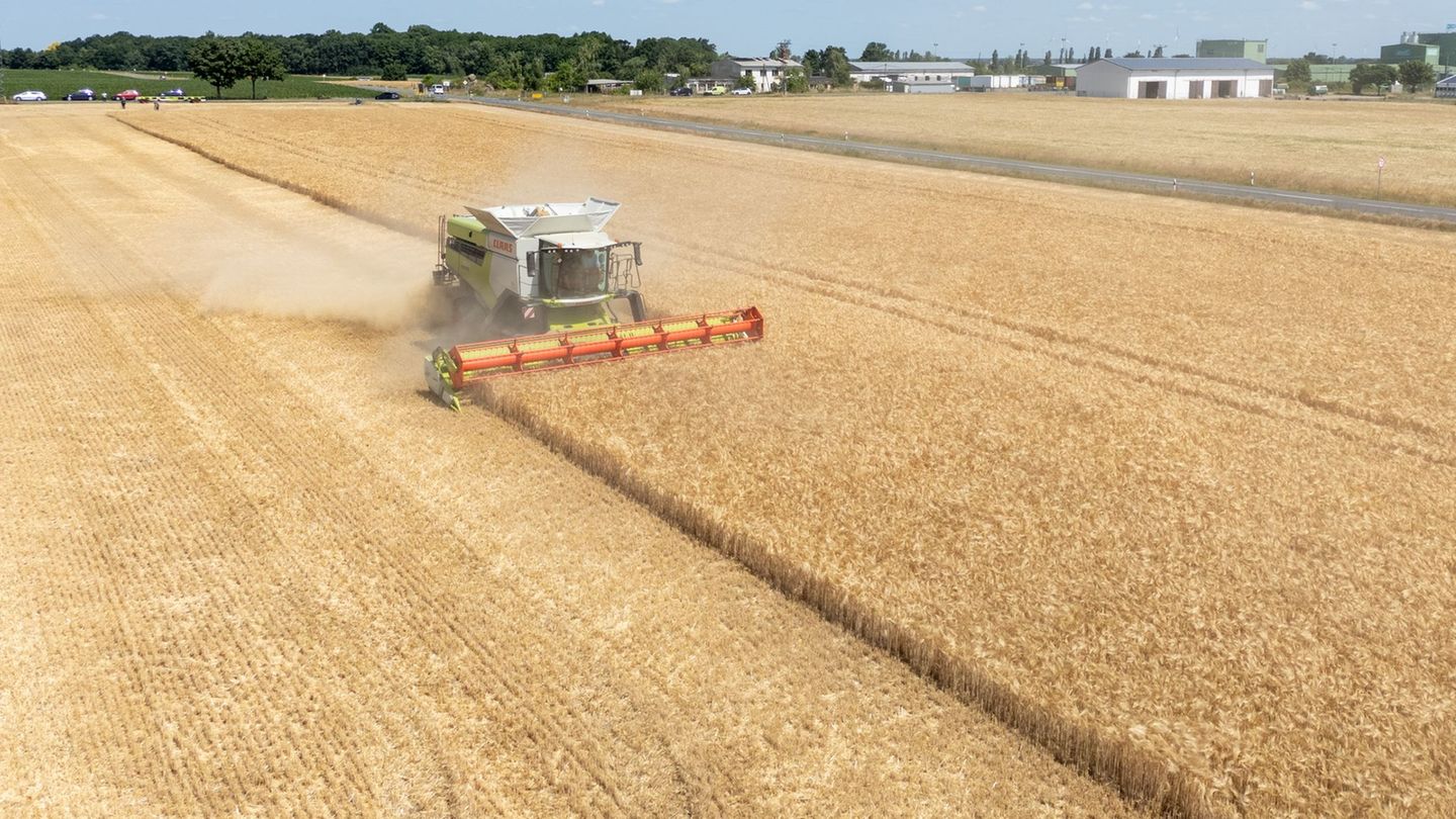 Landwirtschaft: Bauern vor der Ernte – „Liefert“ der neue Minister?