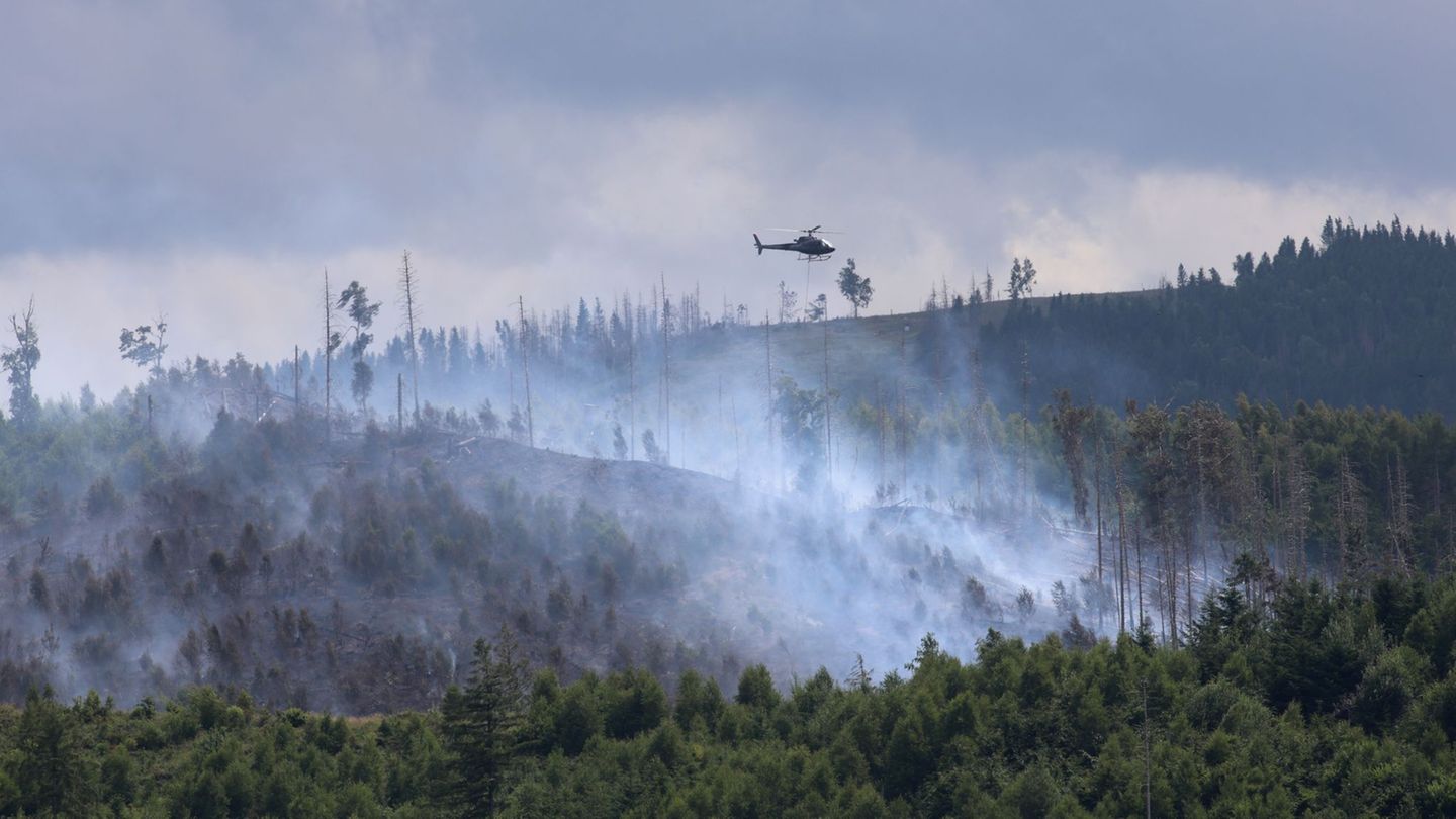 Waldbrände: Waldbrand im Harz in weiten Teilen unter Kontrolle