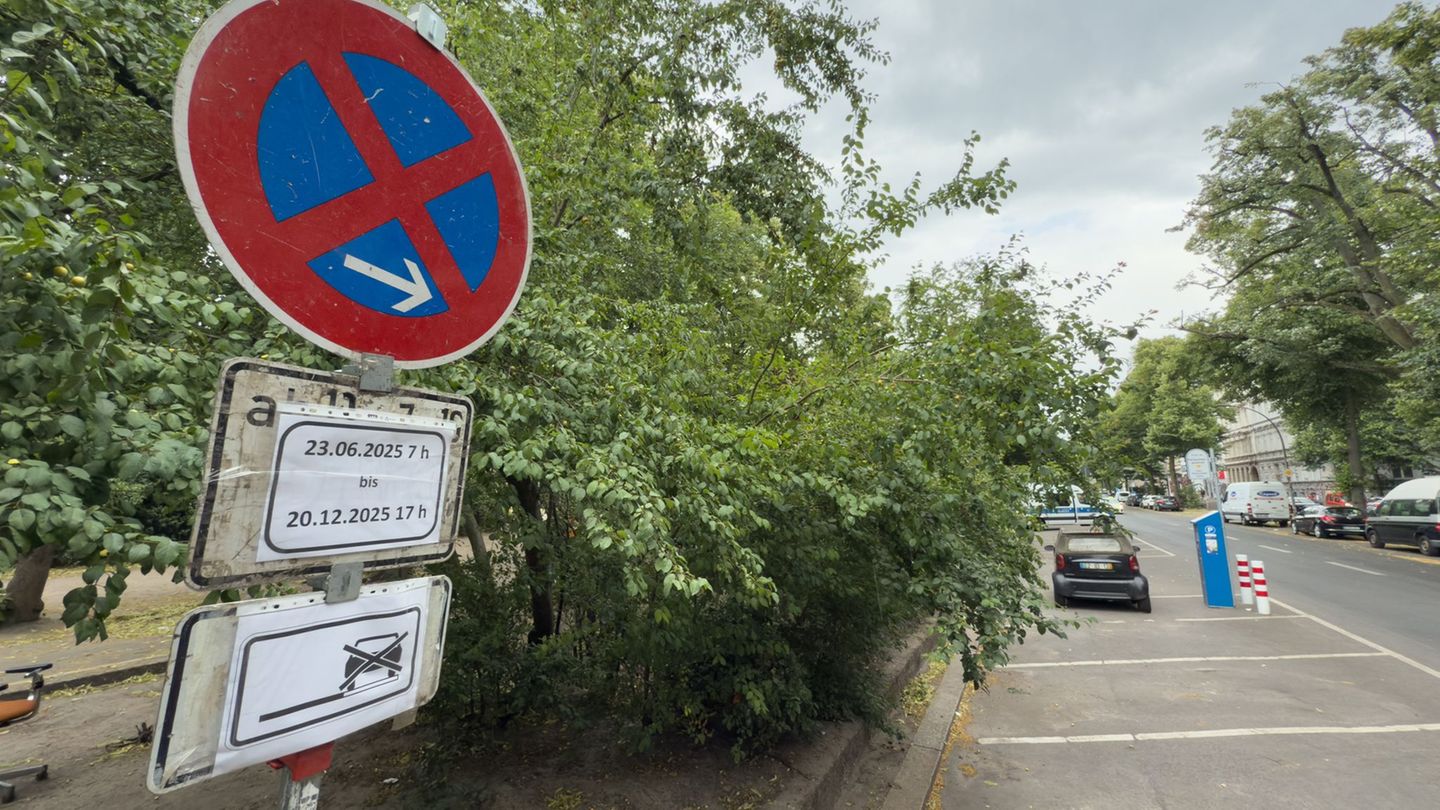 Kampf gegen Drogenhandel: Mehr als 100 Leute demonstrieren am Görlitzer Park
