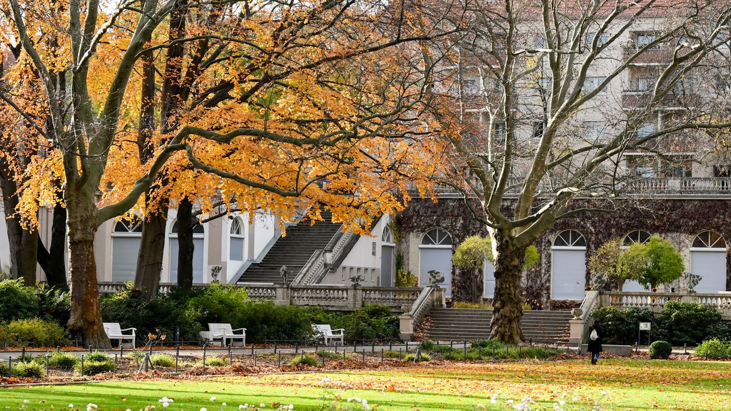 Messerattacke: Mann im Körnerpark erstochen – Polizei sucht nach Täter