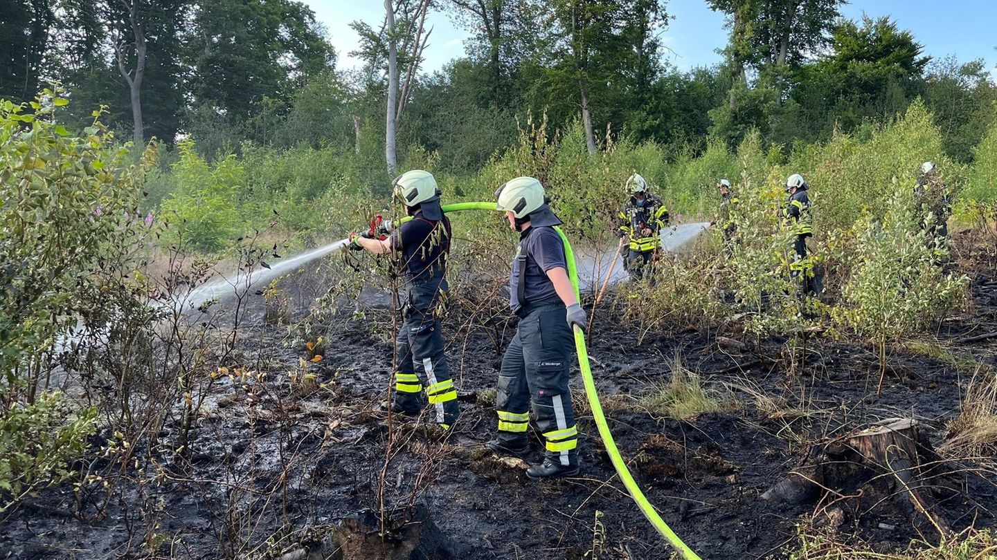 Brände: Feuerwehr bekämpft Waldbrand in Sprockhövel