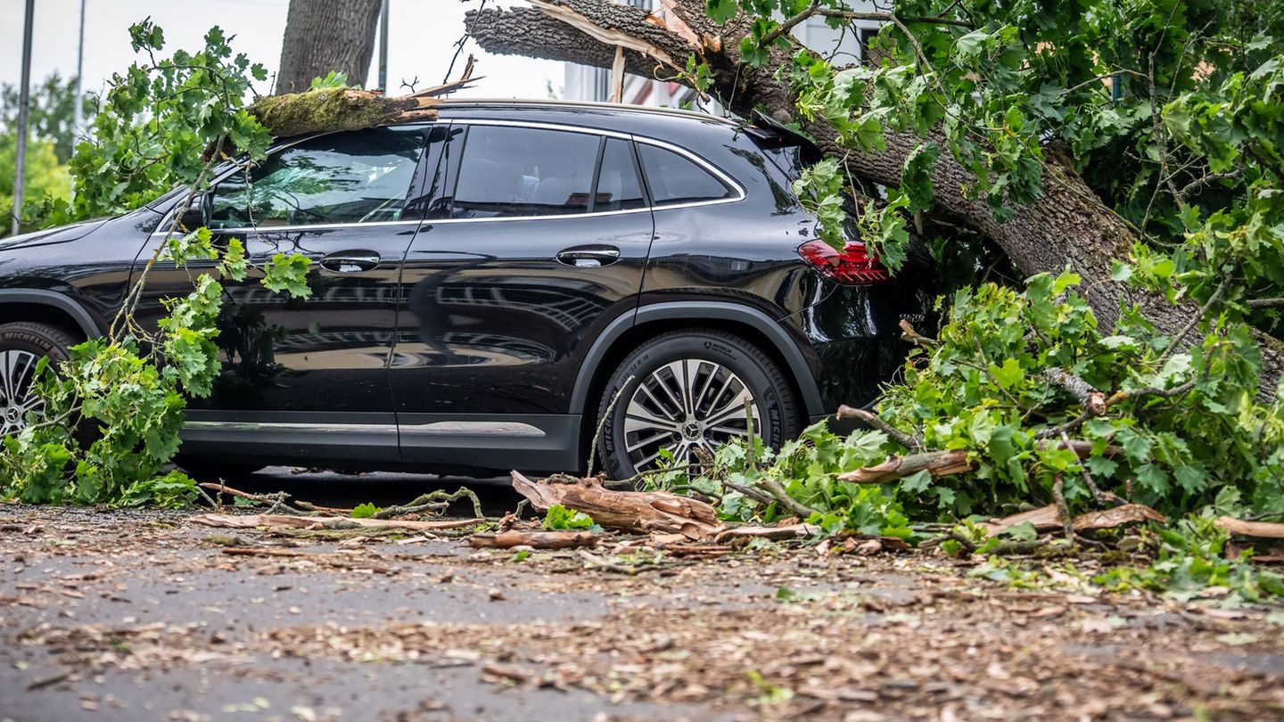 Unwetter: Nach Sturm-Chaos: Bahn-Verkehr in Berlin läuft wieder an