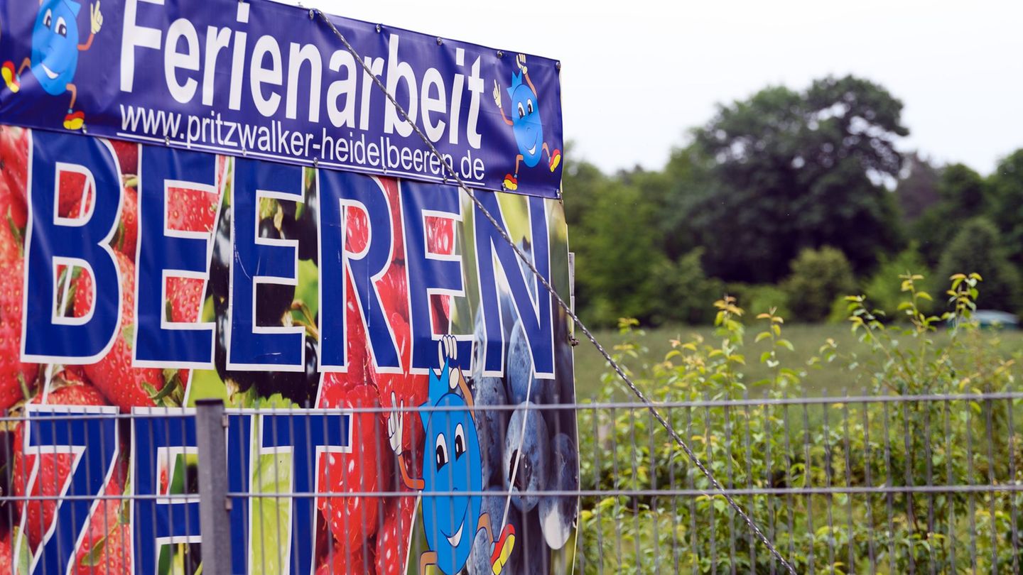 Arbeit statt Vergnügen: Ferienjobs für Schüler und Firmen eine Chance