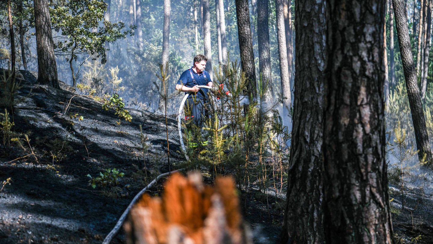 Wetter: Gefahr von Waldbränden in Bayern ist hoch