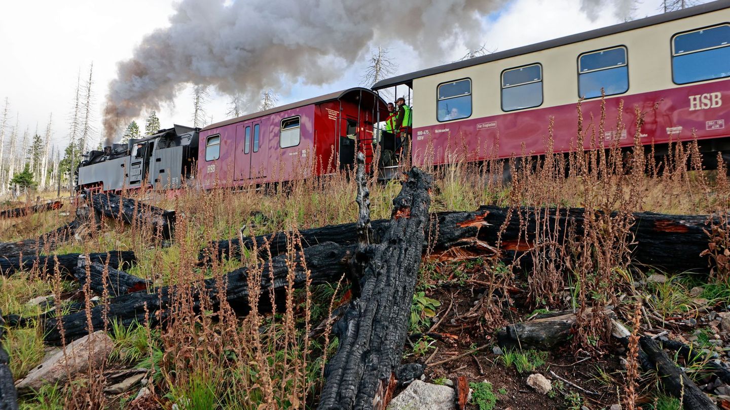 Verkehr: Schmalspurbahnen steuern Brocken wieder mit Dampfloks an