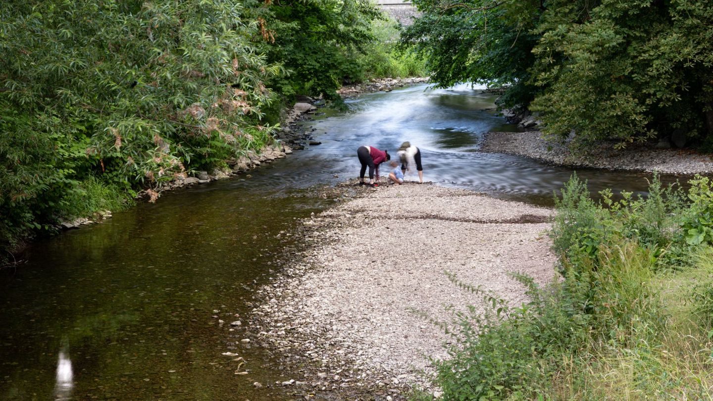 Niedrigwasser: Thüringer Flüsse führen zu wenig Wasser