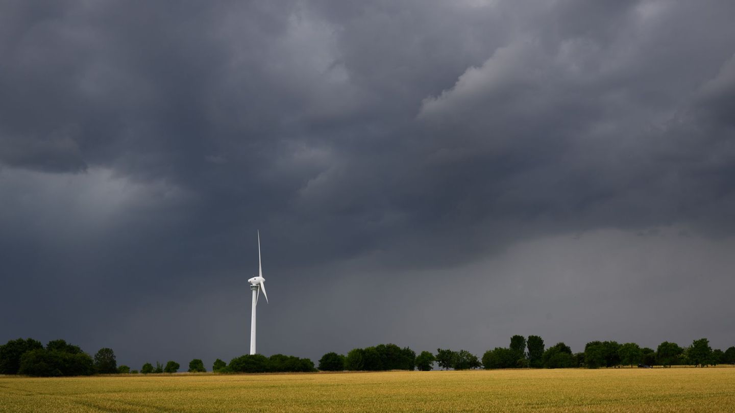 Wetter: Gewitter in Mittel- und Nordhessen lässt Bäume umstürzen
