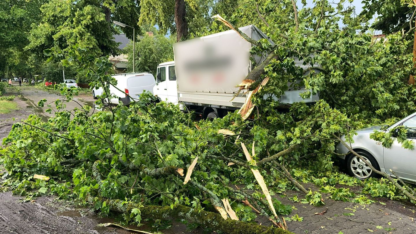 Unwetter: Sturm legt S-Bahn-Verkehr in Berlin erneut lahm