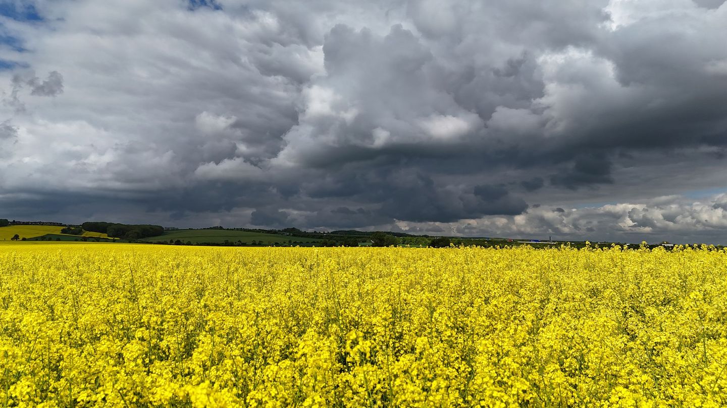 Unwetter am Donnerstag: Gewitter, Sturm und Starkregen in Thüringen erwartet