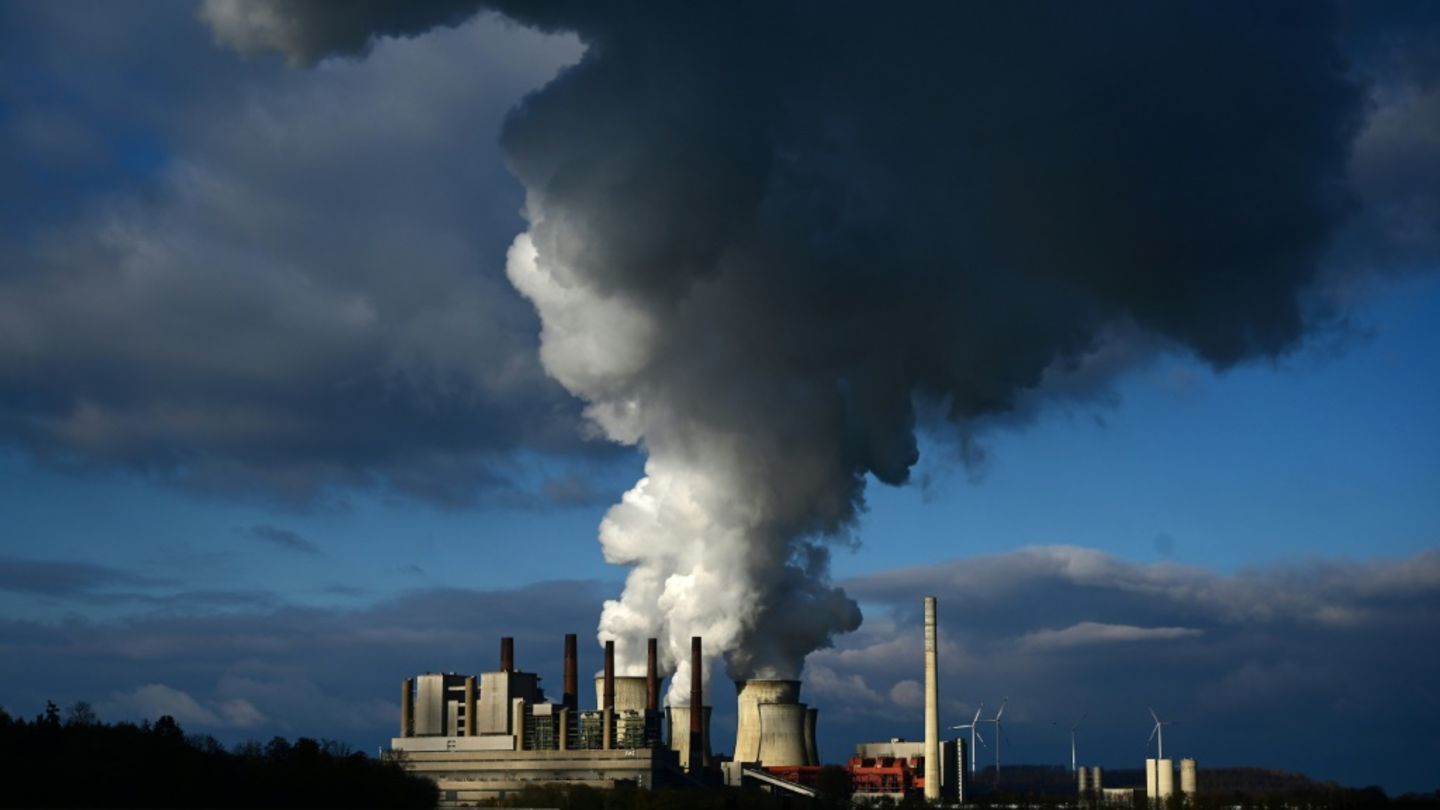 Fridays for Future kritisiert „Milliardengeschenke für Gaslobby“ durch Regierung