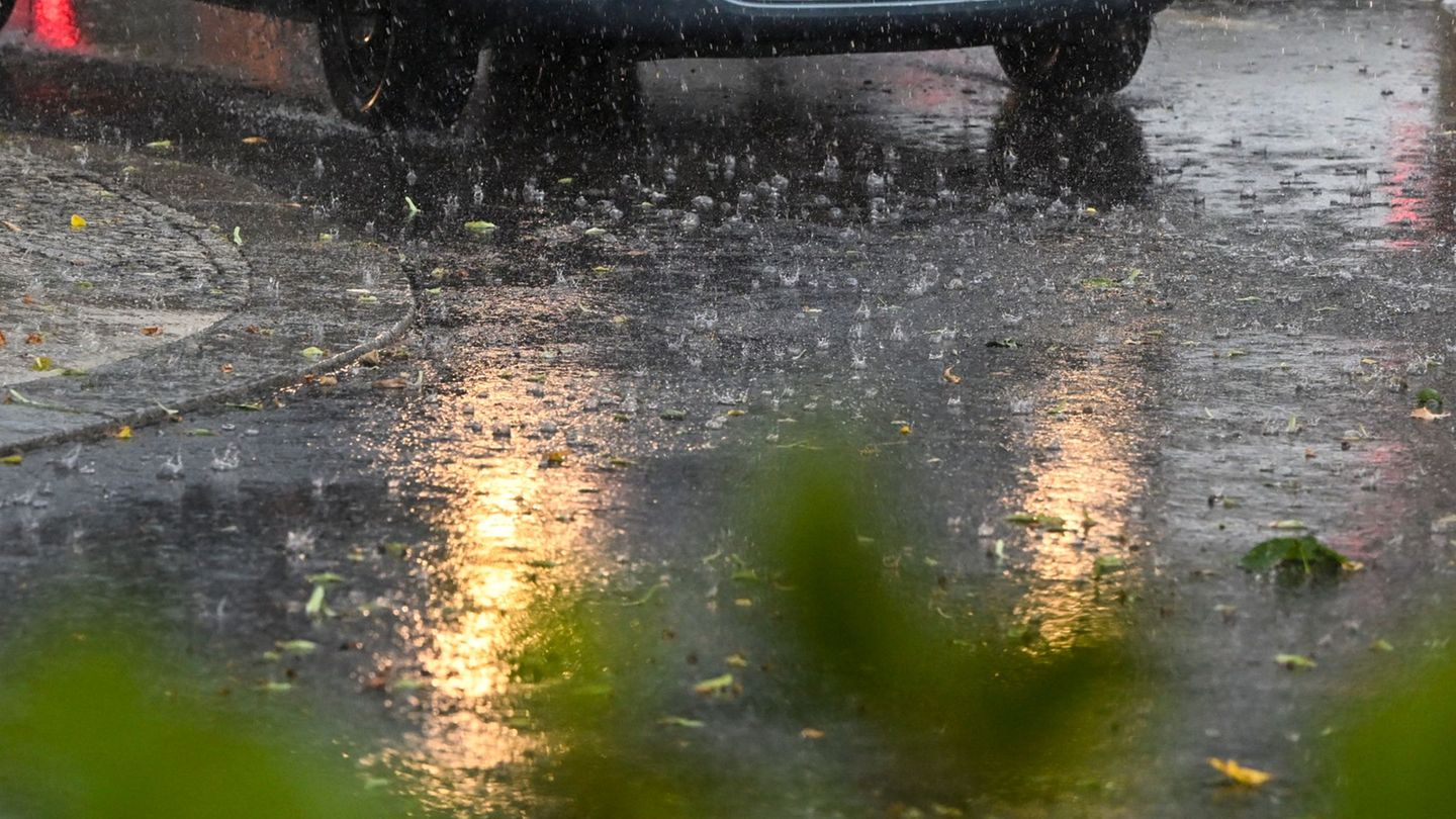 Unwetter: Lebensbedrohliche Verletzung – Baumkrone stürzt auf Menschen