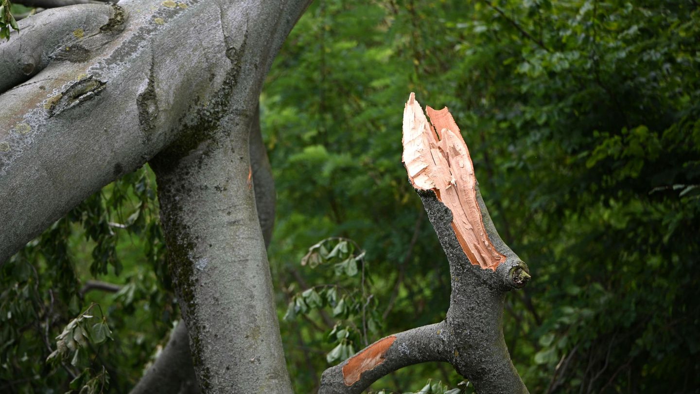 Unwetter steht bevor: Angekündigte Unwetter: Stiftung warnt vor Betreten der Parks