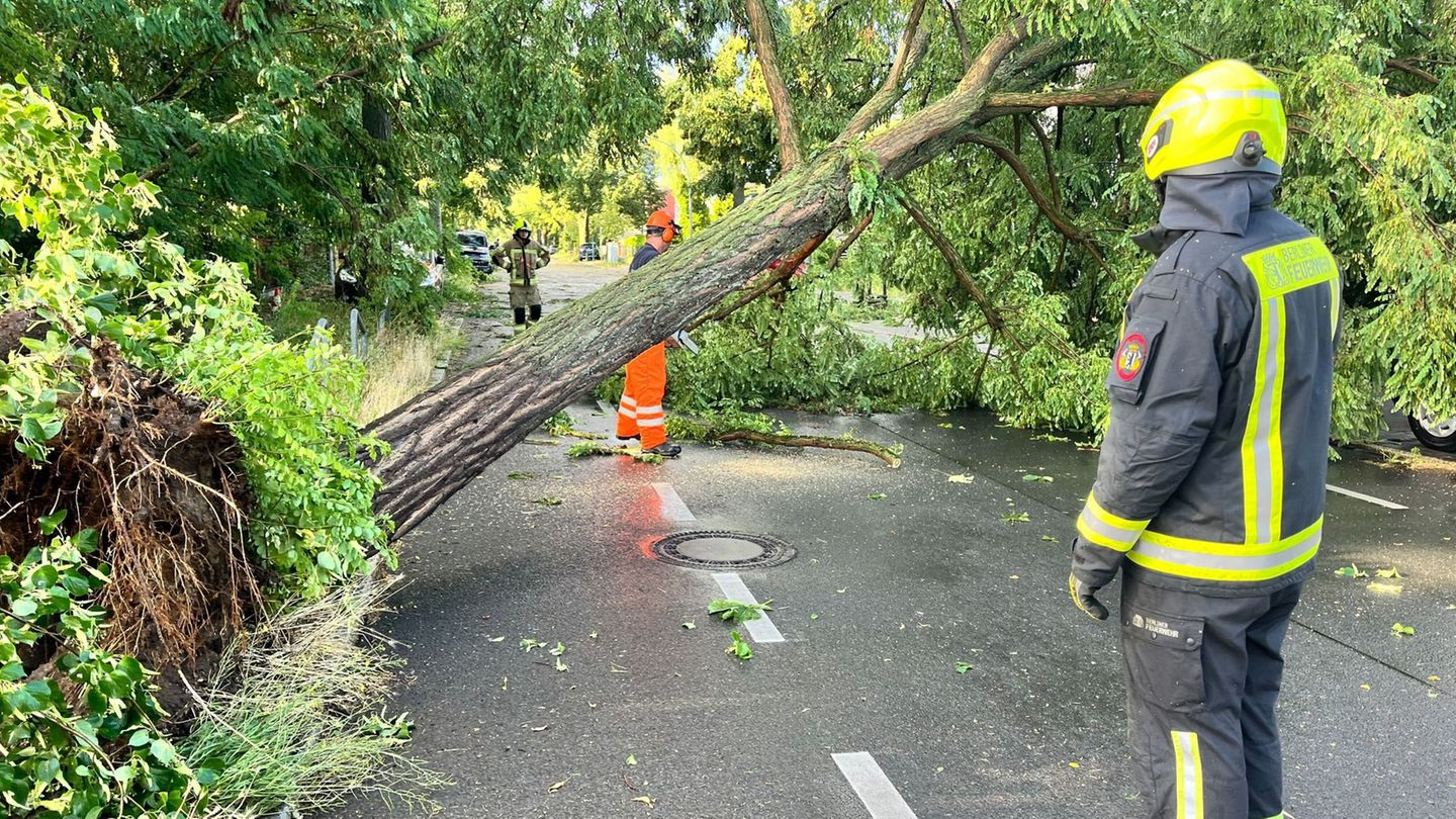 Fast 500 Einsätze: Unwetter: Ausnahmelage in der Lausitz – keine Verletzten