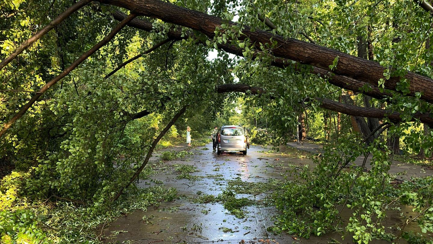 Unwetter: Feuerwehr am Limit: Mehr als 850 Einsätze durch Unwetter