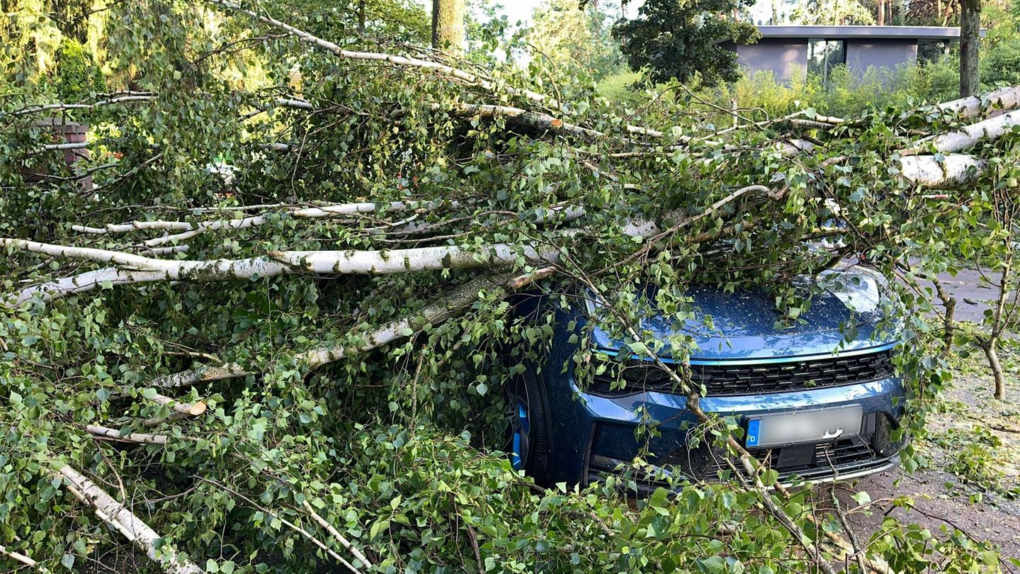 Unwetter: Nach Unwetter: Feuerwehr vor umfangreichen Aufräumarbeiten