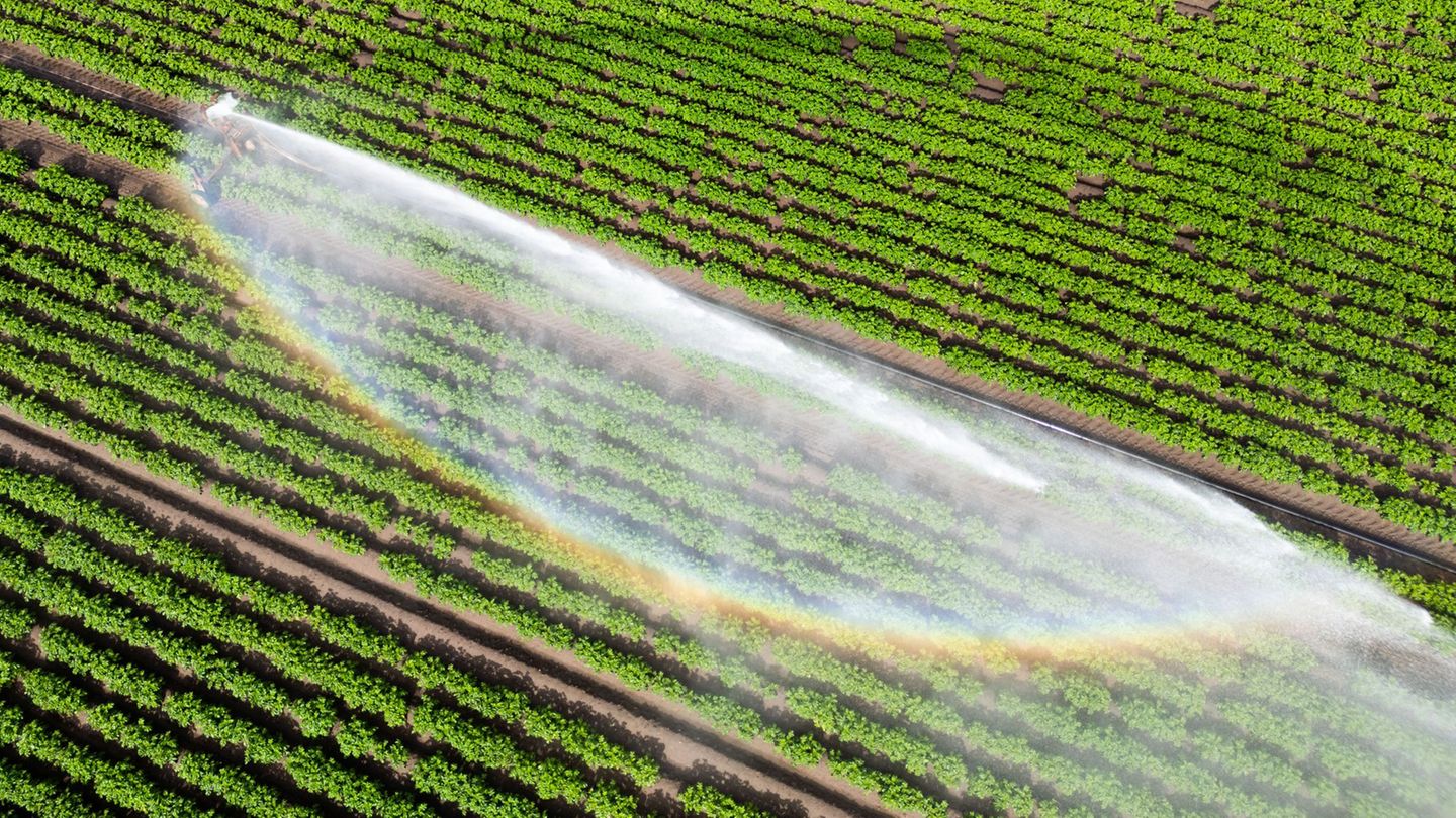 Klimawandel: Kommunen: Bürger auf Wasserknappheit bei Hitze vorbereiten