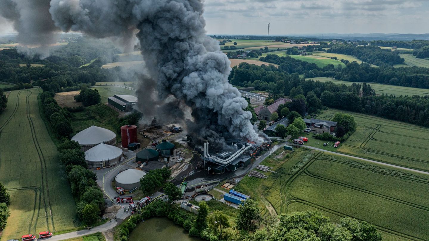 Feuer in einer Halle: Brand in Kartoffelbetrieb in Gütersloh – ein Verletzter
