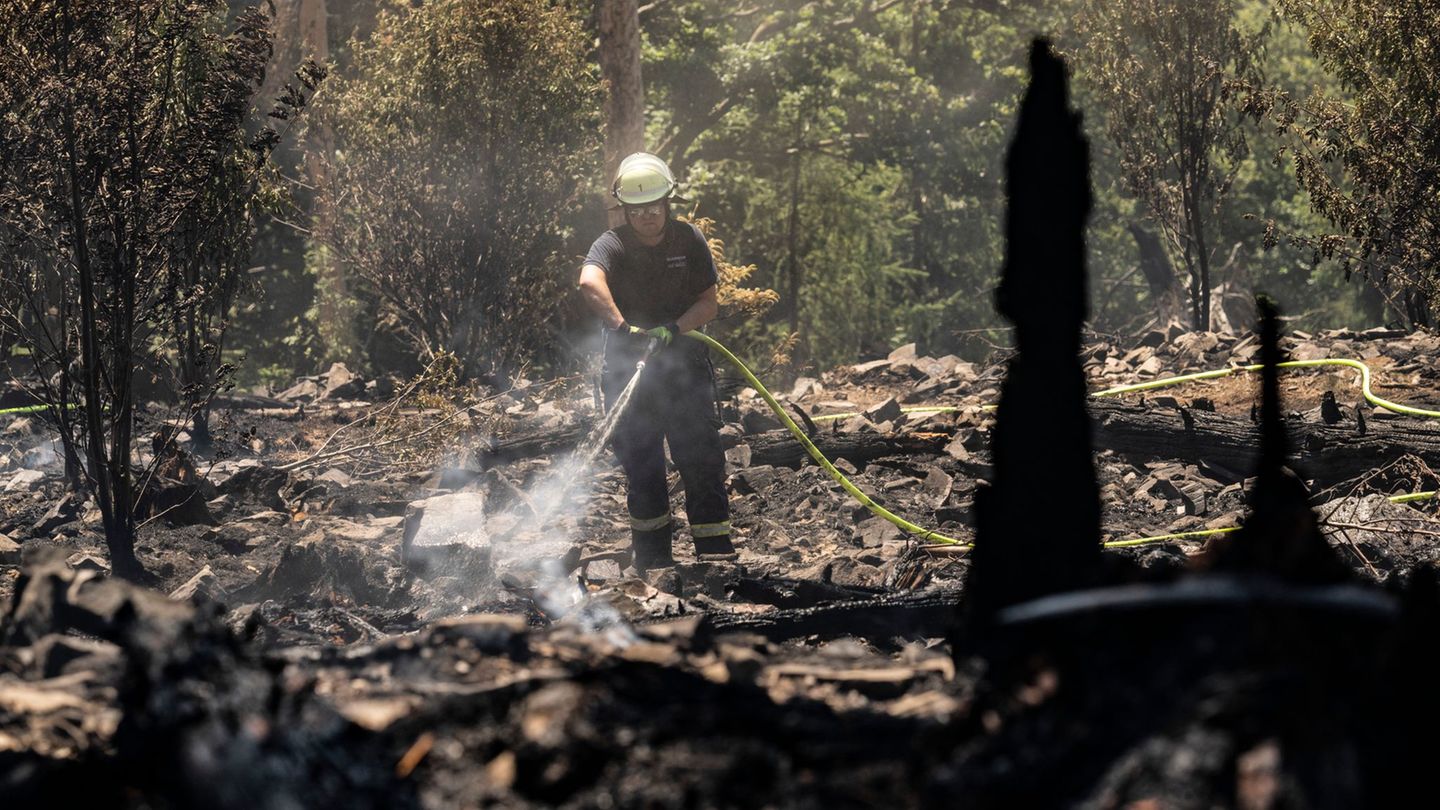 Trockenheit: Waldbrandgefahr steigt auf höchste Warnstufe