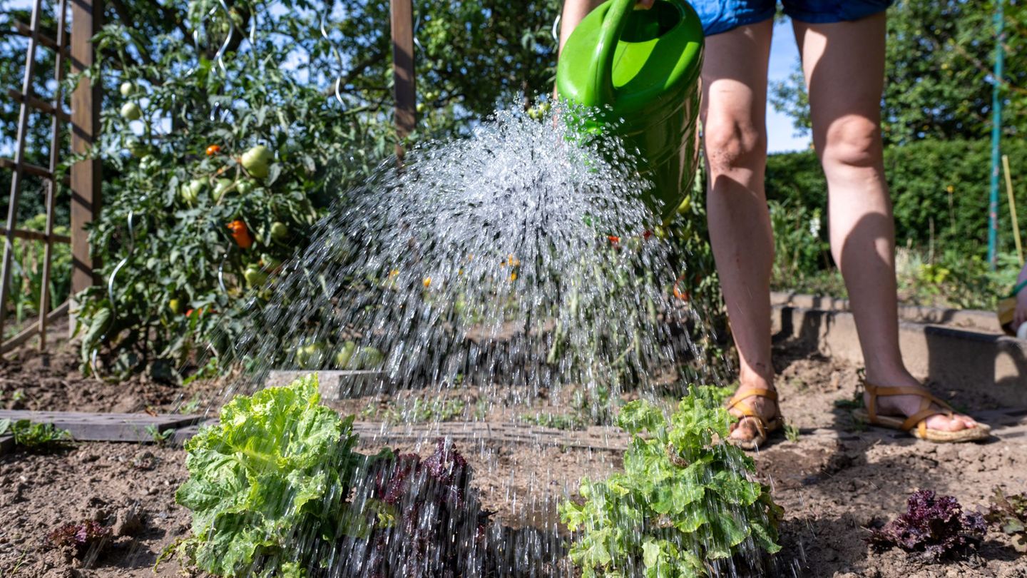 Wasserknappheit: Wasserentnahme: Kreise bereiten Einschränkungen vor