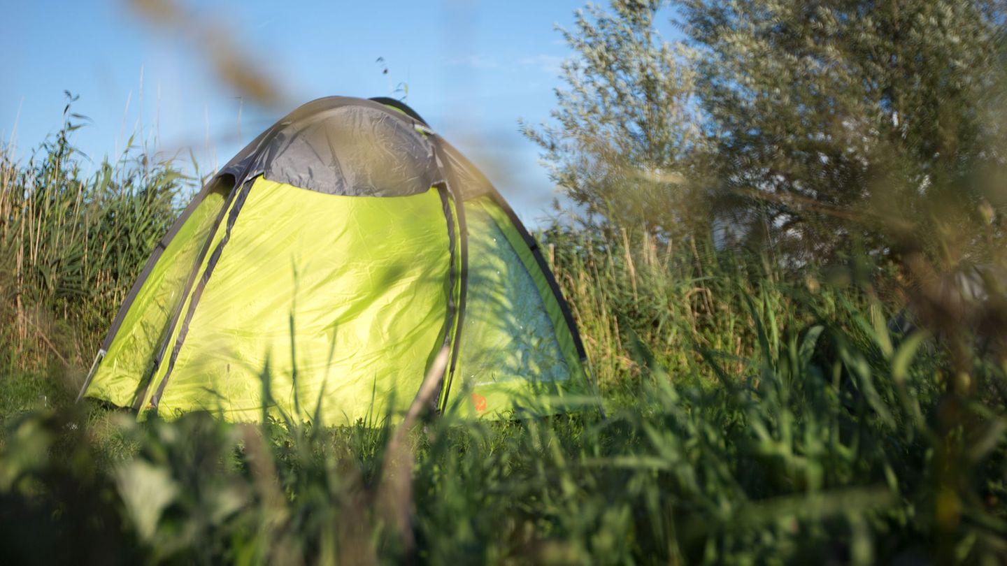 Camping: Zelten in der Natur: Wie das in RLP ganz legal geht