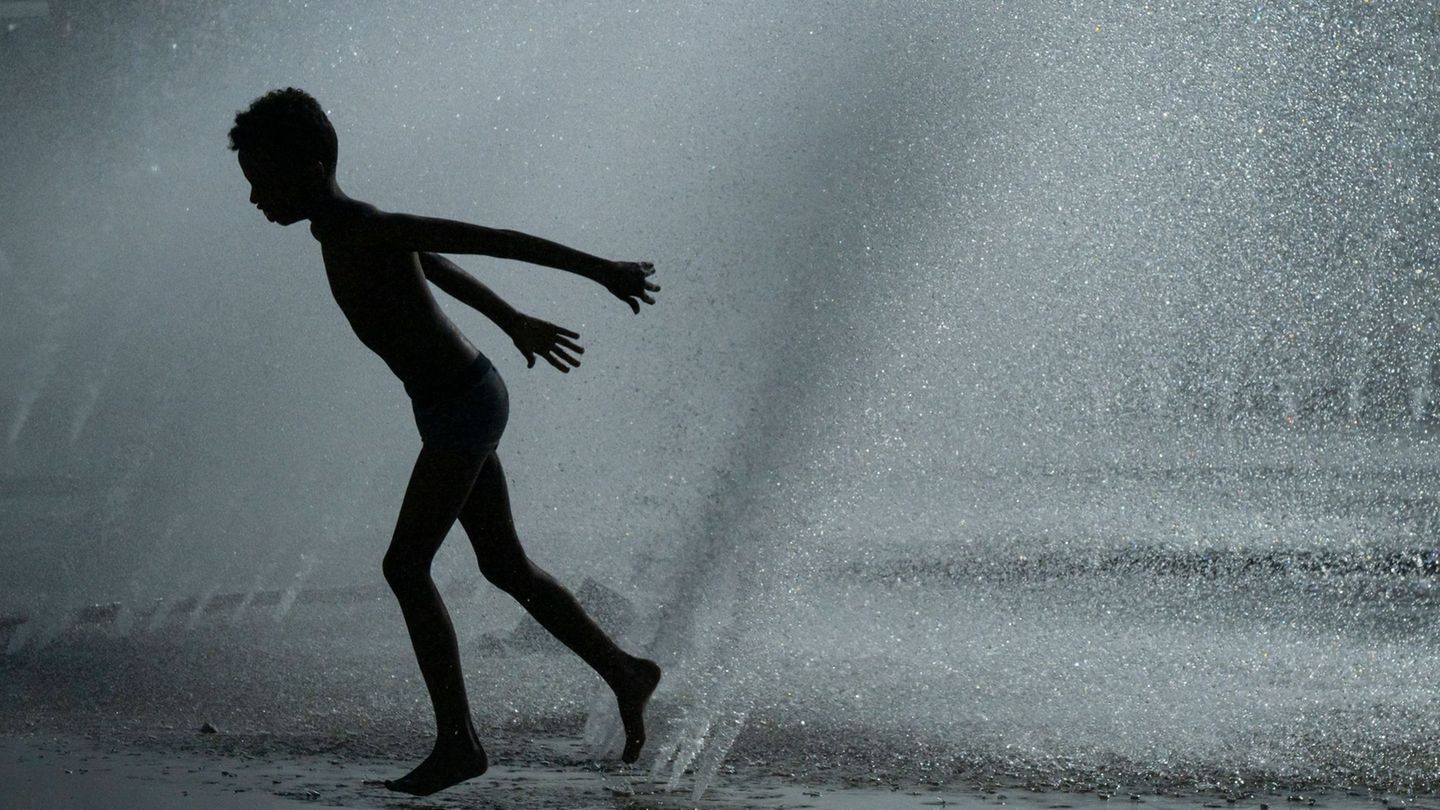 Wetter: Hitze in Bayern: Badetote, leidende Bäume und mehr Hitze