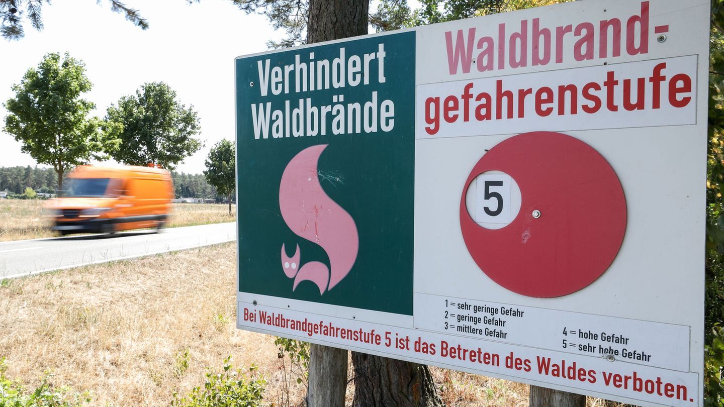 Waldbrandgefahr: Landkreis Nordsachsen: Bald Betretungsverbote für Wälder