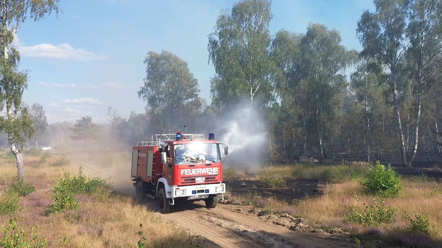 Trockenheit: Hohe Waldbrandgefahr in großen Teilen Brandenburgs