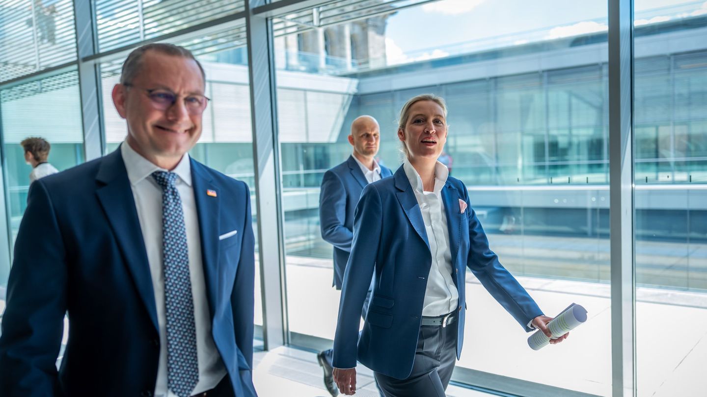 Bundestag: AfD-Chefs bekommen deutlich mehr Geld