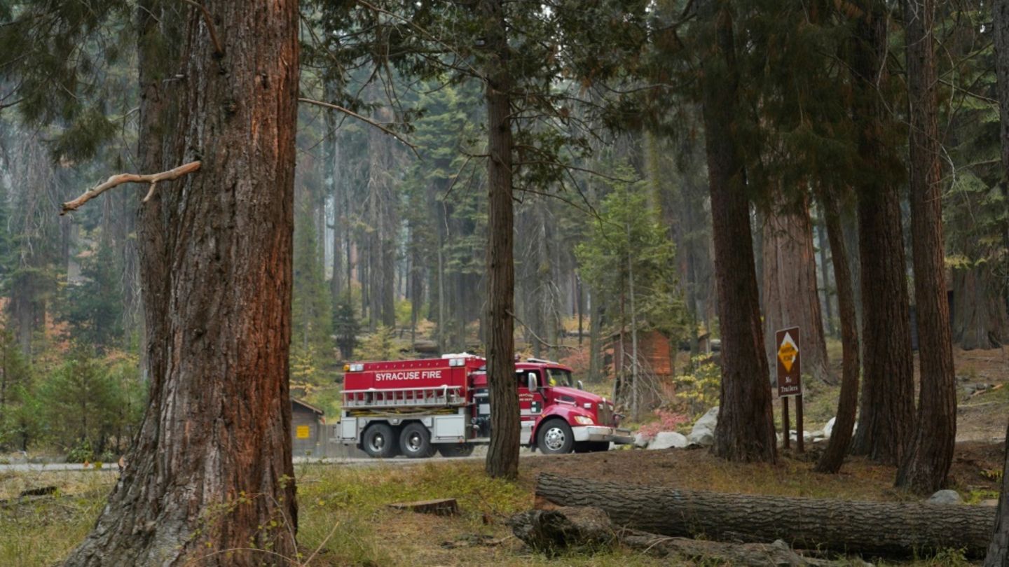 Angreifer legt Waldbrand und erschießt zwei Feuerwehrleute in den USA