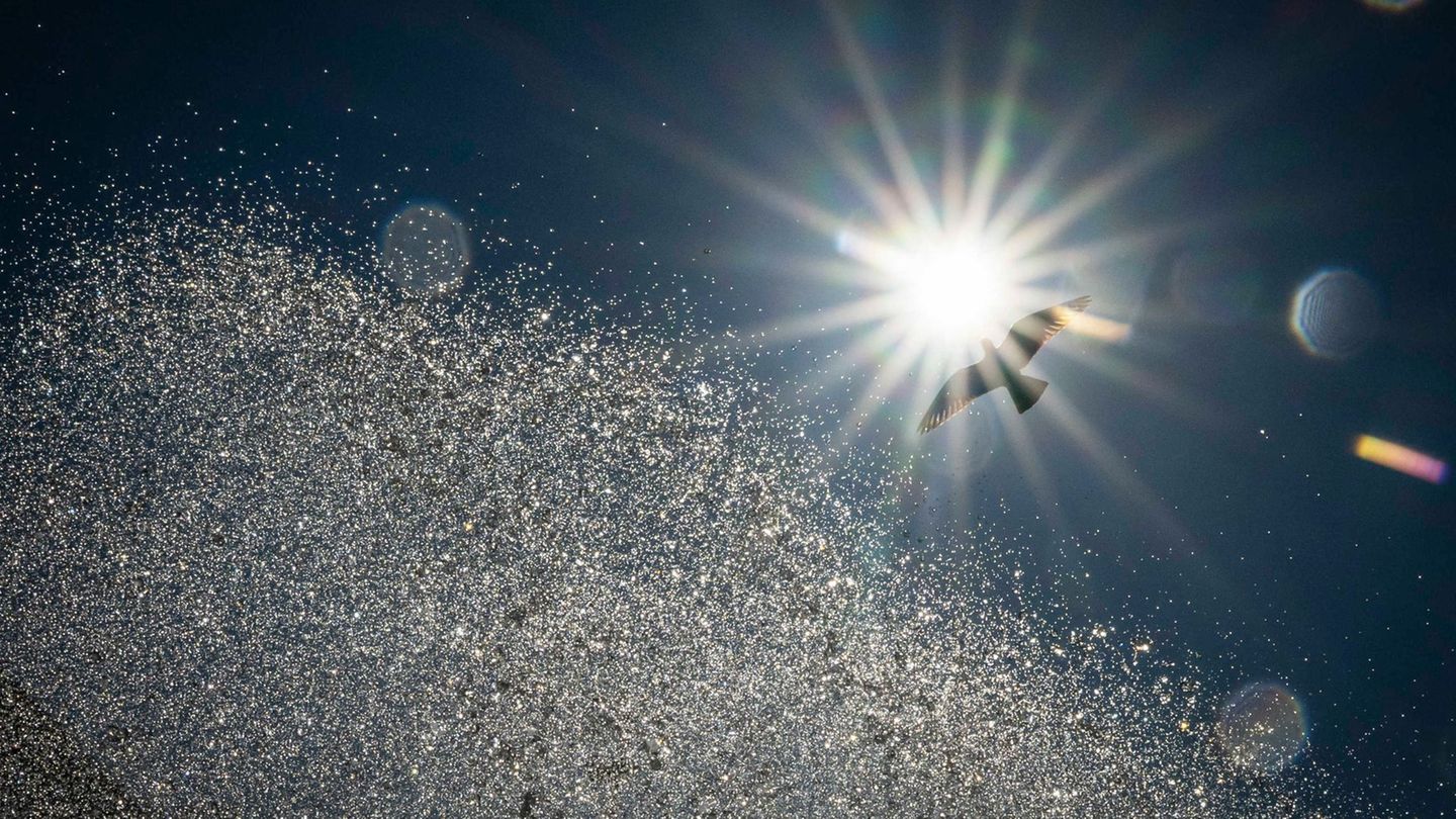 Wetter: Hitze in Bayern dauert an