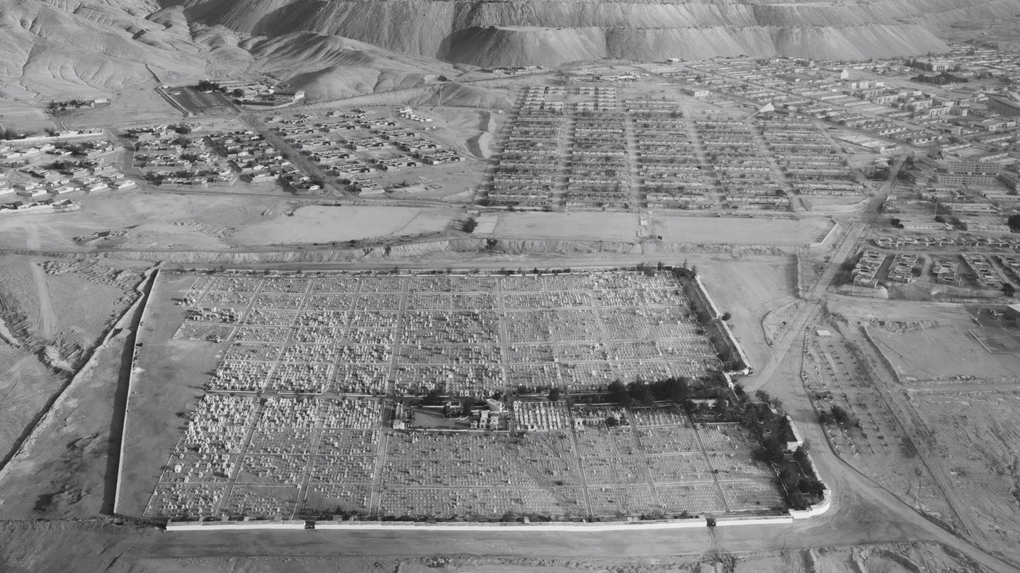Earth Photo 2025: Die Wunden der Erde