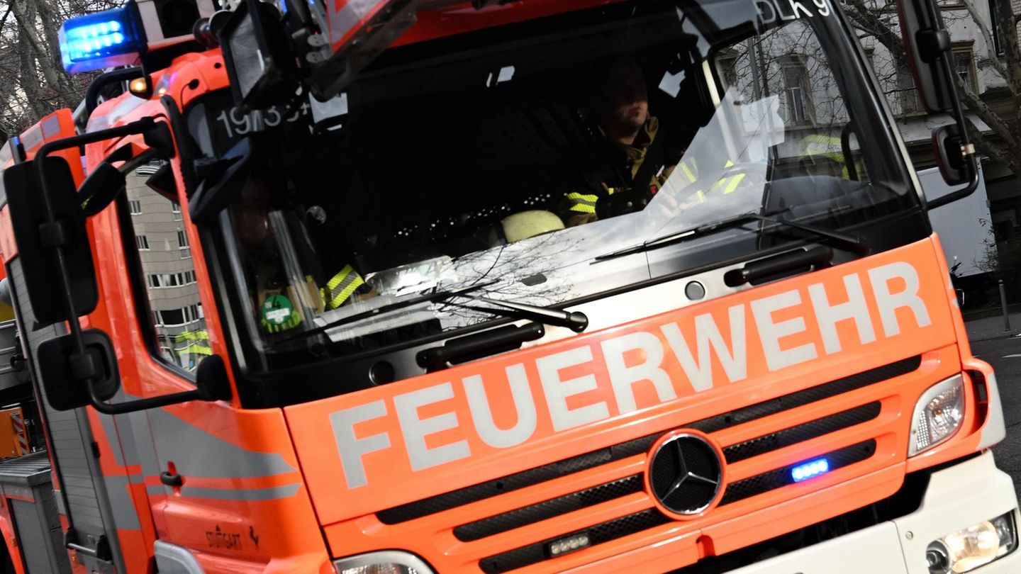 Tragödie in Melle: Mehrere Pferde sterben bei verheerendem Stallbrand