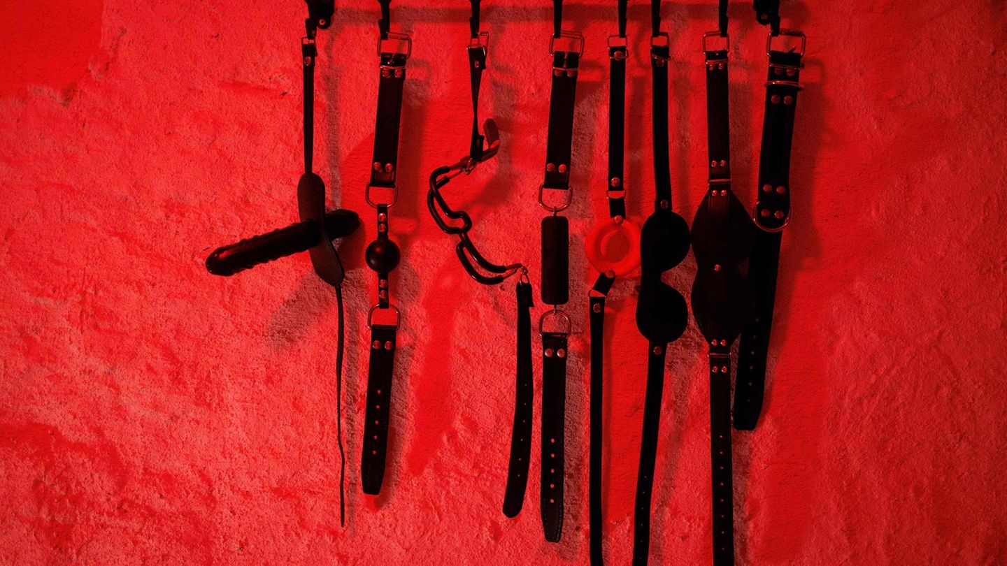 Buchkritik: Vom Dorf ins Rotlicht: Das Leben der Domina Herta Lueger