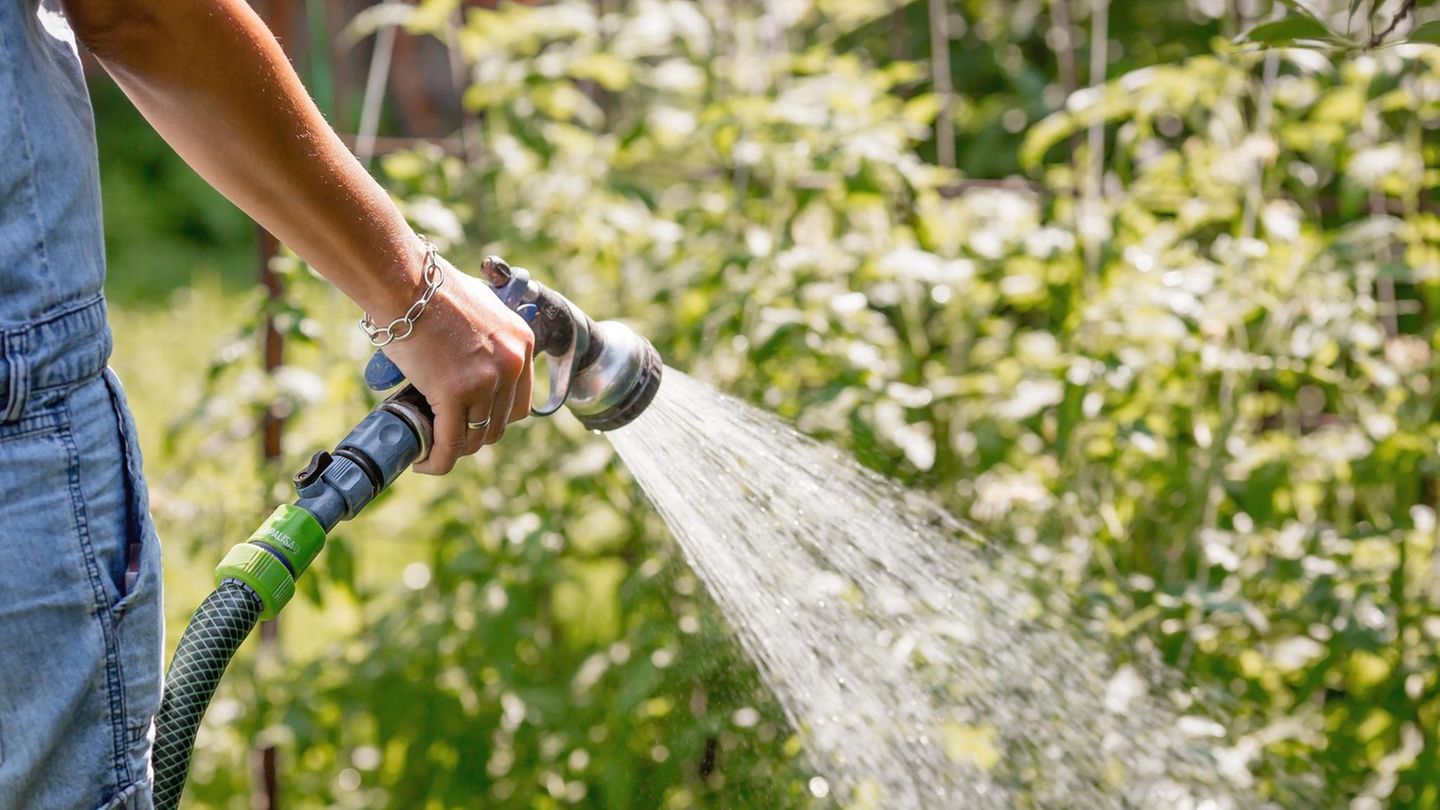 Sommersaison: Gartenbrause von Gardena zum heißen Preis: Garten-Angebote am Montag